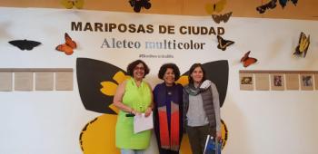 Tlalpan presenta exposición Mariposas de la Ciudad