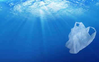 Más de 13 Millones de Toneladas de Desechos Plásticos ingresan cada año a los Océanos