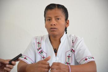 Persiste deuda en la representación política de las comunidades indígenas: diputados