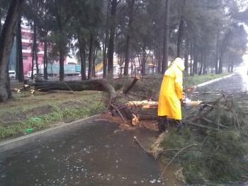 Atenciones realizadas por la SGIRPC ante las Lluvias registradas la noche anterior