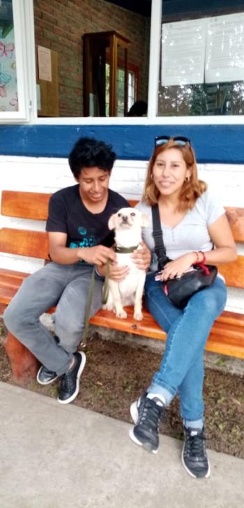 Fueron adoptadas dos perritas durante el Programa de la SSC Apadrina un Animal de Compañía