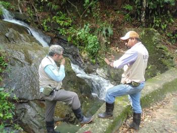 Estudia IPN ADN de insectos transmisores de enfermedades