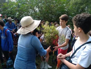 Estudiantes y Alcaldía se suman para reforestar cerro afectado por incendio