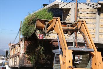 Alcalde en tu Barrio