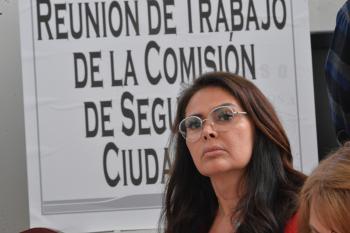 Diputados presentan Anteproyecto de Ley de Seguridad Ciudadana para la CDMX
