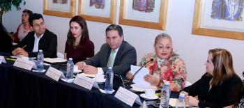 Pendiente, la Tipificación del Delito de Violencia Política contra las Mujeres: Peralta Hernández