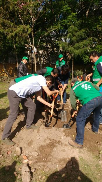 Alcaldía de Coyoacán llevó a cabo el Reto Verde