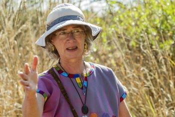 La conservación de la Reserva Ecológica del Pedregal de San Ángel a cargo de la UNAM