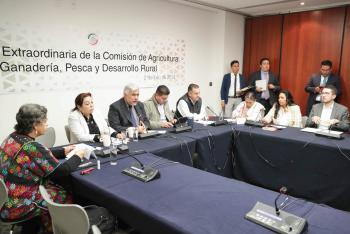 Piden declarar al maíz Patrimonio Nacional Alimentario