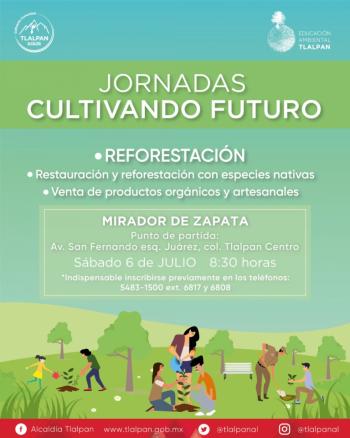 Tlalpan iniciará las Jornadas de Reforestación Cultivando Futuro