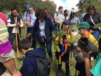 Tlalpan reforesta suelo de conservación