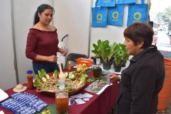 Impulsa La Magdalena Contreras desarrollo de sociedades cooperativas