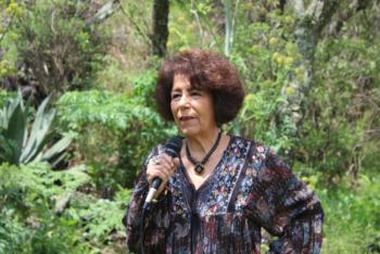 Tlalpan reforesta el Parque Ecológico de la CDMX