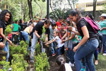 Alcaldía Cuauhtémoc realiza jornada de revegetación en Tlatelolco