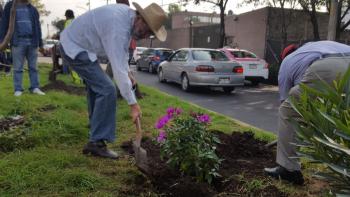 Continúa la reforestación de camellones de Azcapotzalco