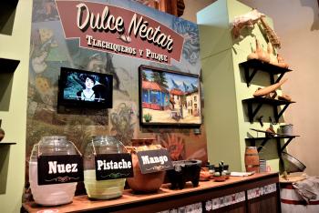 Exposición que rinde tributo al "elixir de los dioses": el pulque