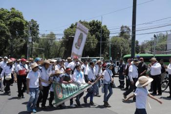 Saldo Blanco tras Operativo Querétaro 2019