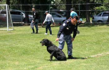 Brigada de vigilancia animal de la SSC celebró el día Internacional del Perro Callejero