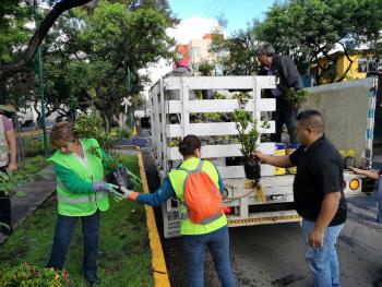 Campaña de Reforestación en San Francisco Xocotitla
