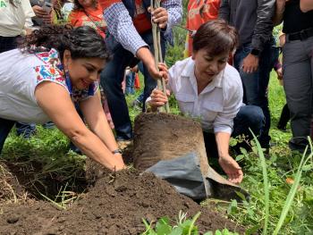 Inició Clara Brugada siembra de 80 Mil Árboles en la Sierra de Santa Catarina