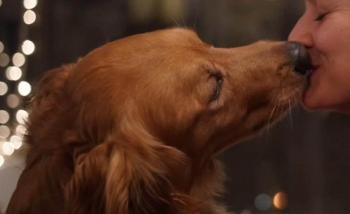 Besos de Mascotas pueden causar enfermedades