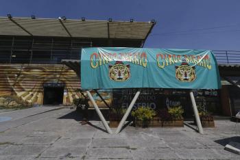 Conversan en Faro de Oriente sobre circo social
