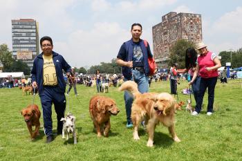 Jornadas de Bienestar Animal en las Islas de Ciudad Universitaria