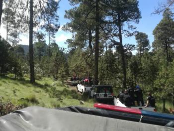 Tlalpan va contra la tala clandestina