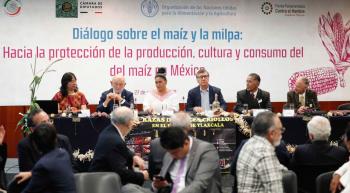Urge recuperar la soberanía alimentaria