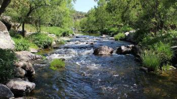 Ríos y naturaleza requieren de protección legal y derechos