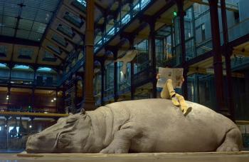 El Museo de Arte Carrillo Gil cumple 45 años como espacio de experimentación del arte en México