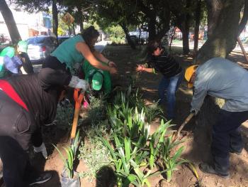 Más Áreas Verdes recuperadas con Sábado de Tequio y Reto Verde