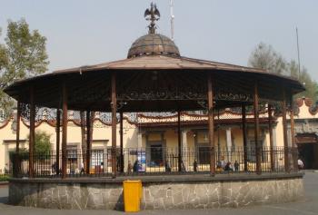 Se colocaron mil doscientas plantas que embellecen el jardín Hidalgo en Alcaldía Coyoacán