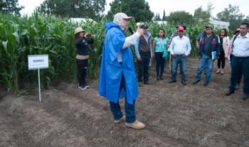 Think tank de Naciones Unidas reconoce a MasAgro por generar información y tecnologías de vanguardia asequibles para productores