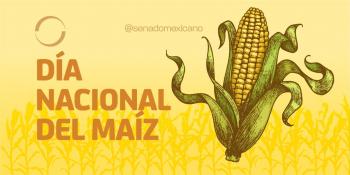 El 29 de septiembre de cada año será el Día Nacional del Maíz