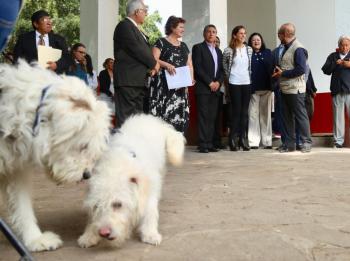 Inicia en Coyoacán Jornada de Bienestar Animal