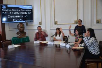 Diputados locales aprueban dictamen que garantiza el derecho a una alimentación adecuada, nutritiva, diaria, suficiente y de calidad