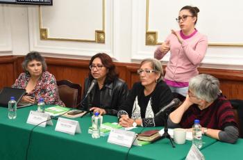 Realizan la mesa de trabajo Prevención del Primer Embarazo. Persistencia de la pobreza, y desigualdad