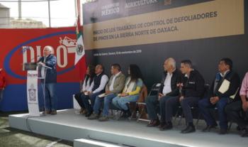 Supervisan titular de Agricultura y gobernador de Oaxaca combate a plagas forestales en los bosques de la entidad
