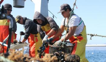 Dan a conocer a ganadores del Premio a la Pesca y Acuacultura Sustentables 2019