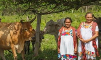 A un año de gobierno, México impulsa nuevo modelo para el rescate del campo, la autosuficiencia y desarrollo del sector rural
