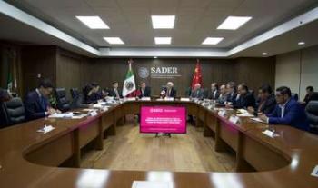 Iniciará México exportación de mora azul a China en la modalidad tierra mar