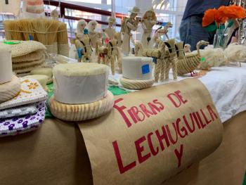 Se inaugura la expo ProMDyA 2019: El oficio de soñar, en el centro cultural Futurama