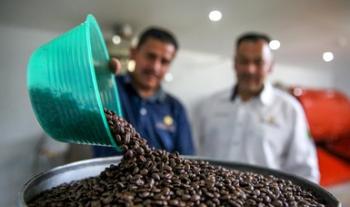 Estiman ligero aumento en la producción agropecuaria y pesquera del país en año agrícola 2019, con 287.1 millones de toneladas