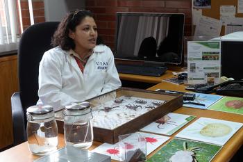Cuenta UNAM con la Colección Nacional de Ácaros más importante
