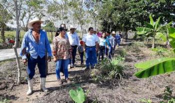 Dialoga María Luisa Albores con campesinas y campesinos de Sembrando Vida en Chiapas