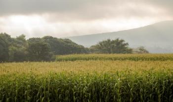 Emite Agricultura declaratoria de desastre natural en el sector agrícola, pecuario, acuícola y pesquero de municipios de Sonora