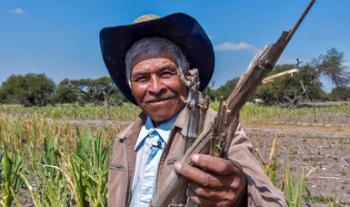 Ante efectos climáticos, impulsa Agricultura, a través del programa MasAgro, una producción agrícola sustentable