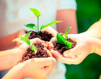 La educación ambiental, útil para una ciudadanía planetaria