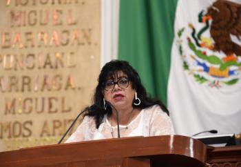 Proponen fortalecer desde los Módulos de diputadas y diputados la difusión del Censo 2020